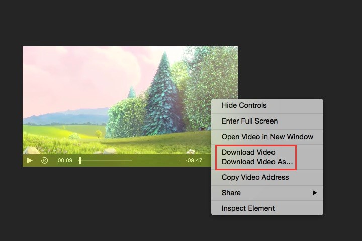 download JW Player video on Safari