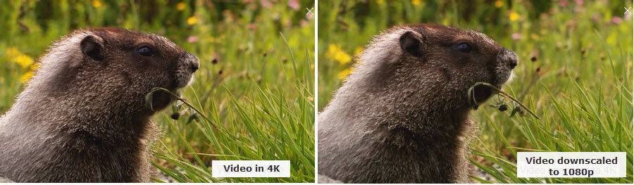 4K vs 8K converted from 4k