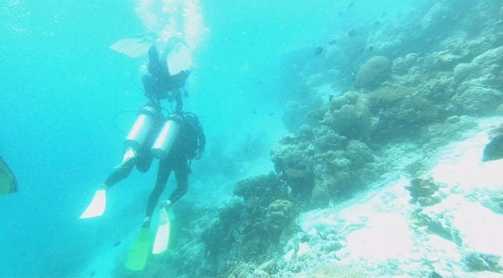 Original Underwater GoPro Footage