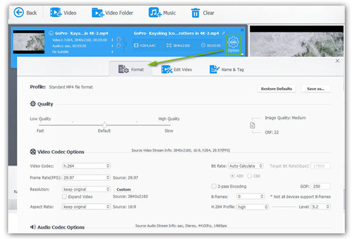 Adjust GoPro Video Audio Parameters