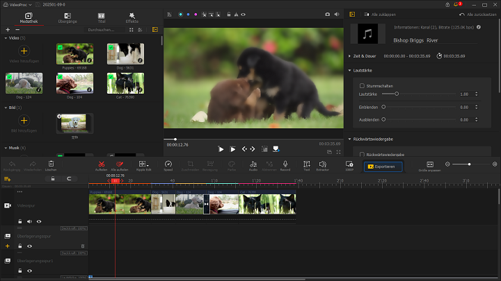 Fügen Sie Video und Musik zu VideoProc Vlogger hinzu