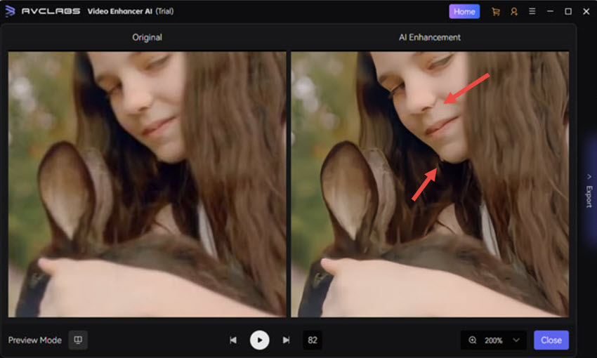 Avclabs Enhance Artifacts