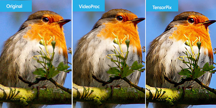 Upscale and Enhance Blurry Image Comparison