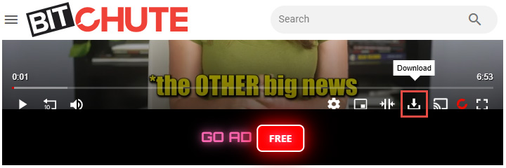 BitChute Download Option