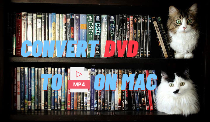 convert dvd video to mp4 mac