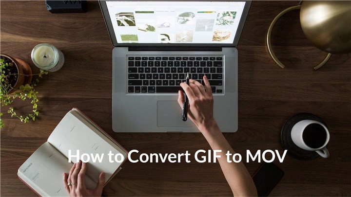 10 Ways  How to Convert a Video to GIF on PC, Mobile, and Online?