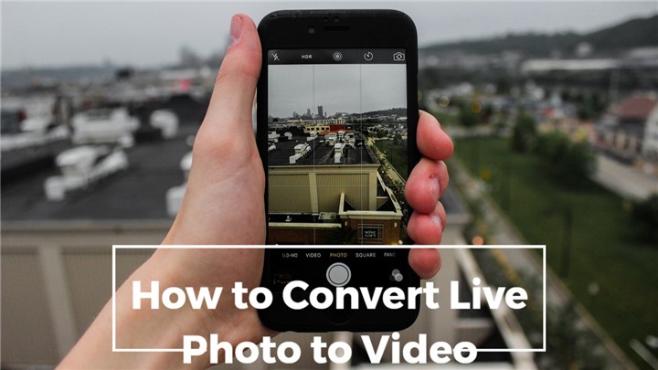 turn a video into a live photo