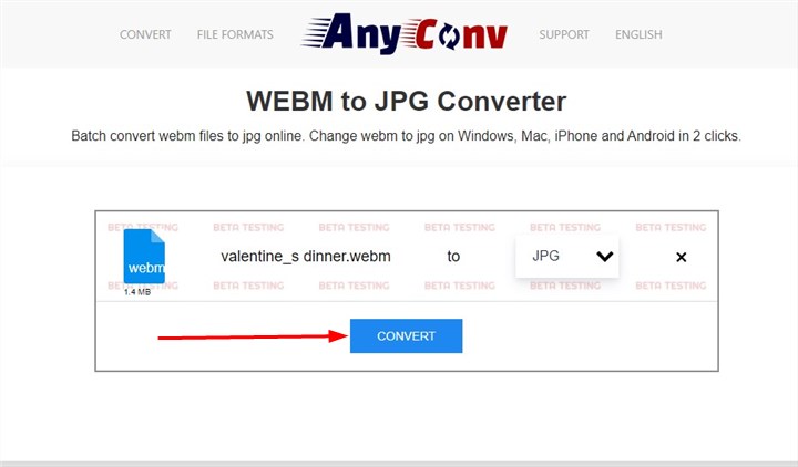 GIF to WebM Converter [Online & Free] – Movavi Converter