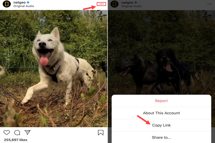 copy instagram video to iphone