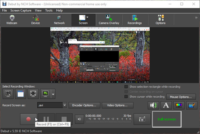 debut screen and video recorder free download