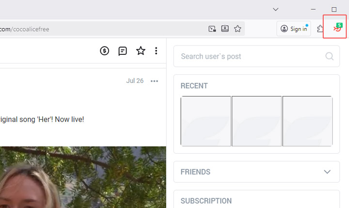Pin Video Hunter Extension