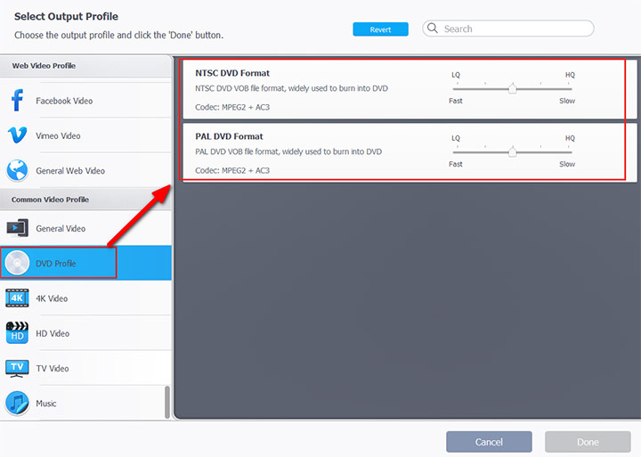 Profili DVD nel convertitore Videoproc