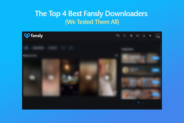Best Fansly Downloaders