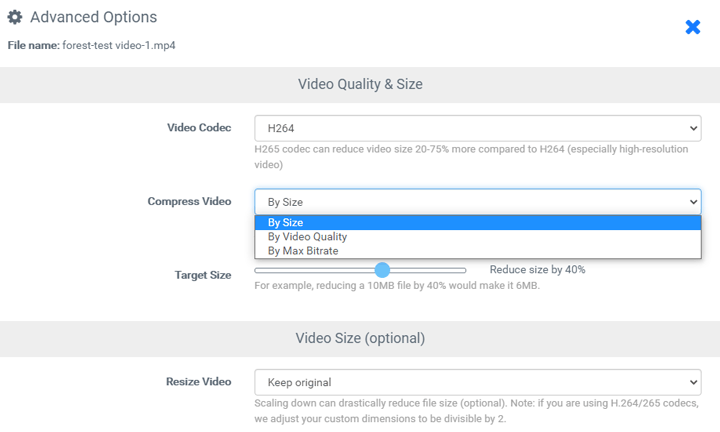 online video compressor