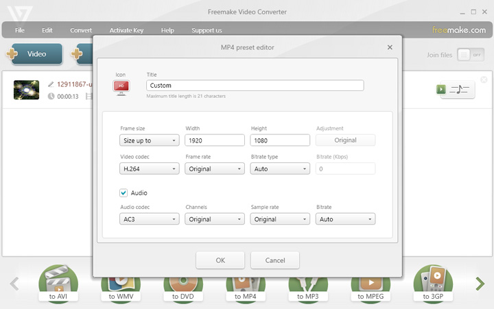 Freemake Video Converter Customizability