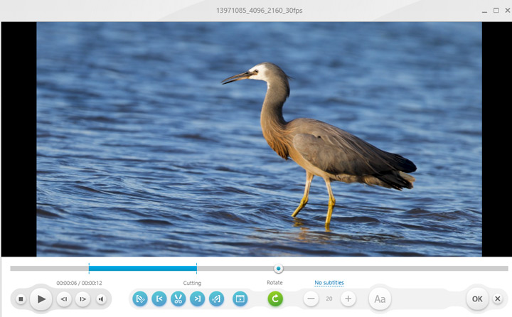 Freemake Video Converter Editing Features