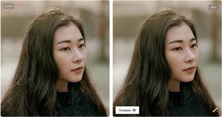 Topaz Gigapixel AI Review