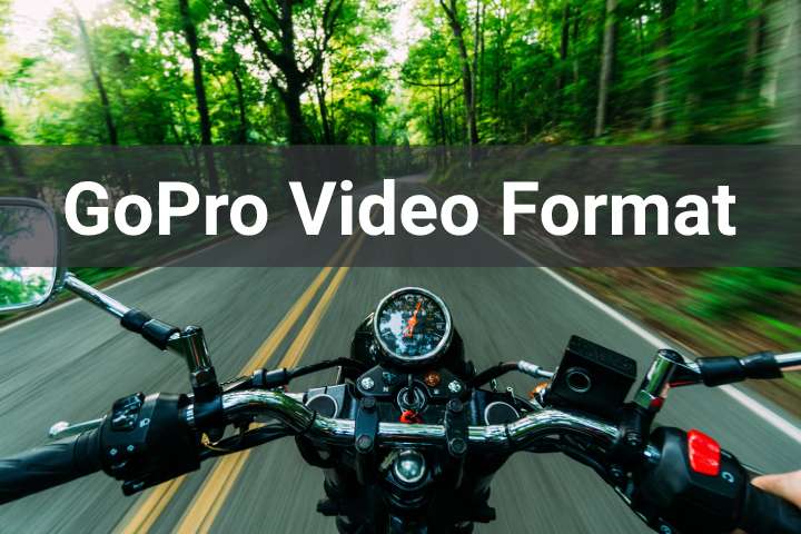 go pro video format