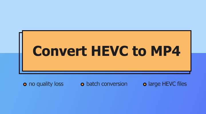 HEVC Converter