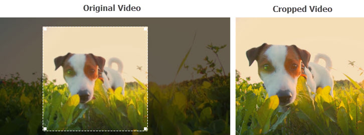 How to Crop a Video