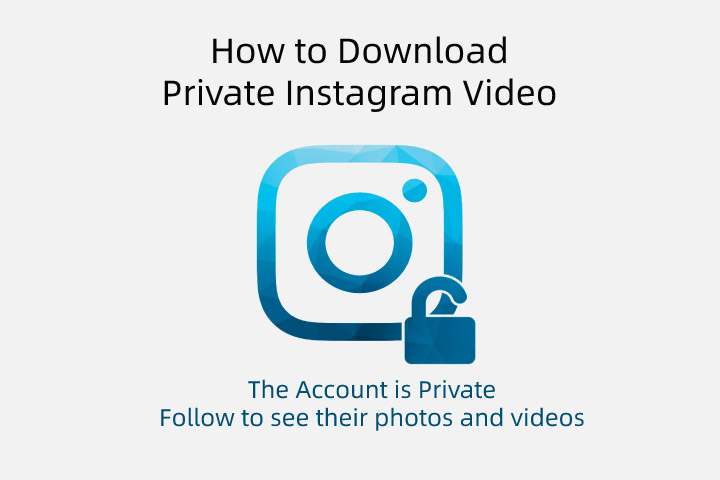 private instagram account video downloader