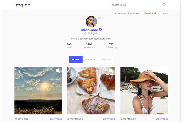 View Instagram without Account via Imginn