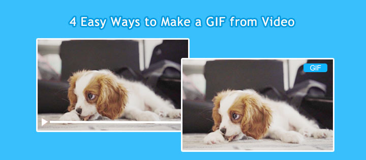 6 Methods to Make a GIF from a  Video - VideoProc
