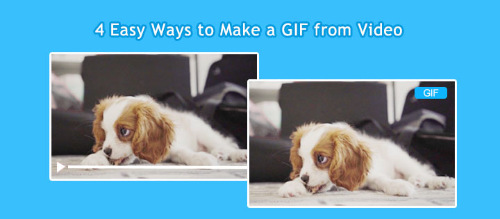 How to Make a GIF from a Video ('Video to GIF' Tutorial!) 