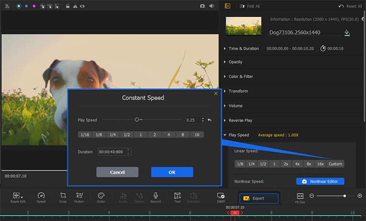 videoproc playback speed