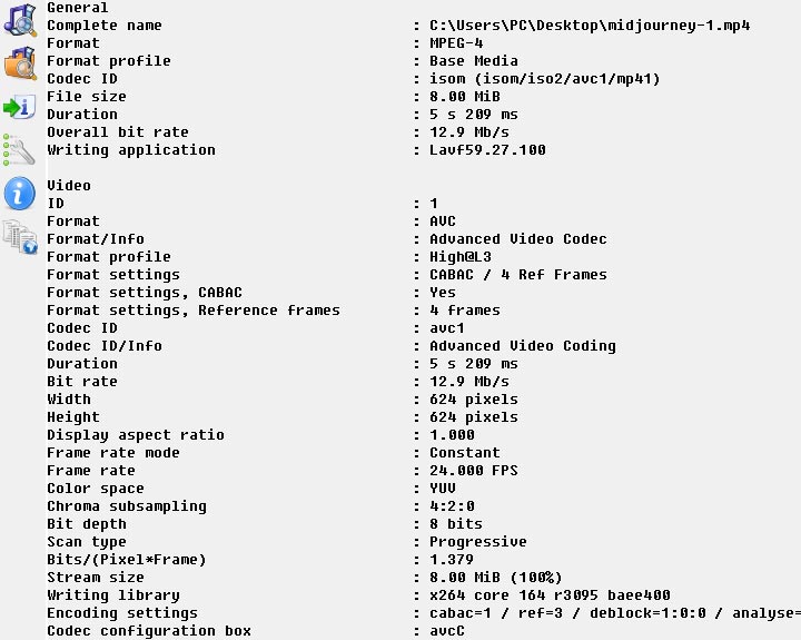 Midjourney Video Output Media Info