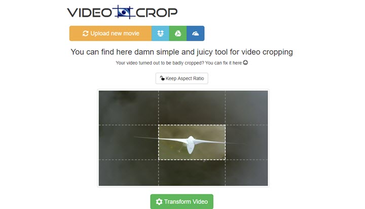 crop video online free no watermark