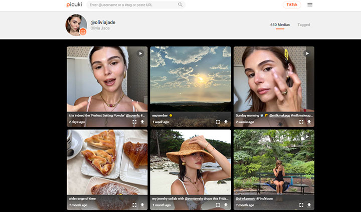View Instagram without Account via Picuki