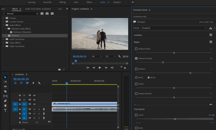 4 Best Ways to Remove Wind Noise from Videos (Premiere + AI Solutions)