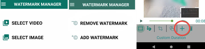 savetok remove watermark
