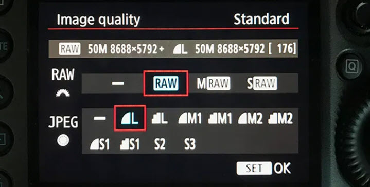 what-is-raw-image-pros-and-cons-shooting-in-raw