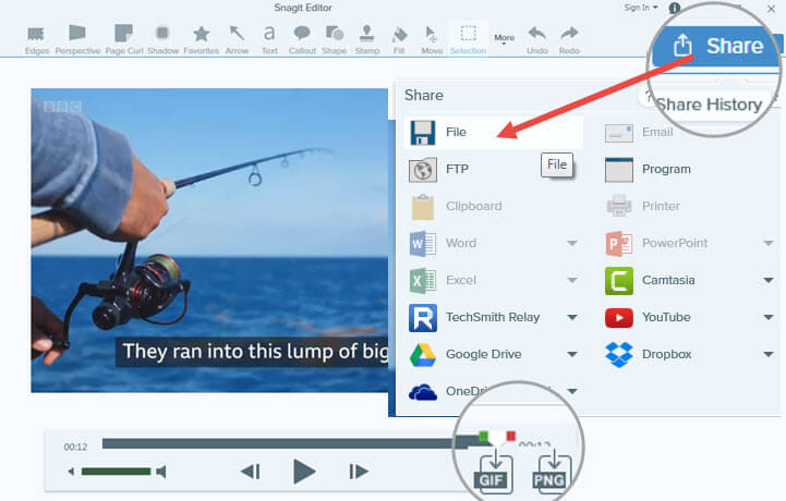 snagit video capture tutorial for beginners