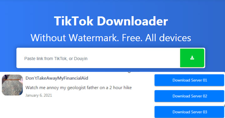 remove tiktok watermark online free