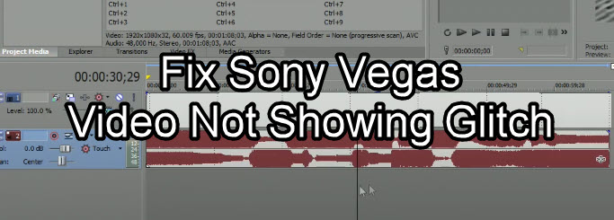 Sony Vegas Video Not Showing Only Audio Error