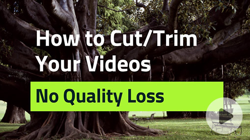 Top 6 Video Cutters Online to Trim and Remove Unwanted Clips