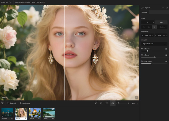 Topaz Deblur Face Restore Result