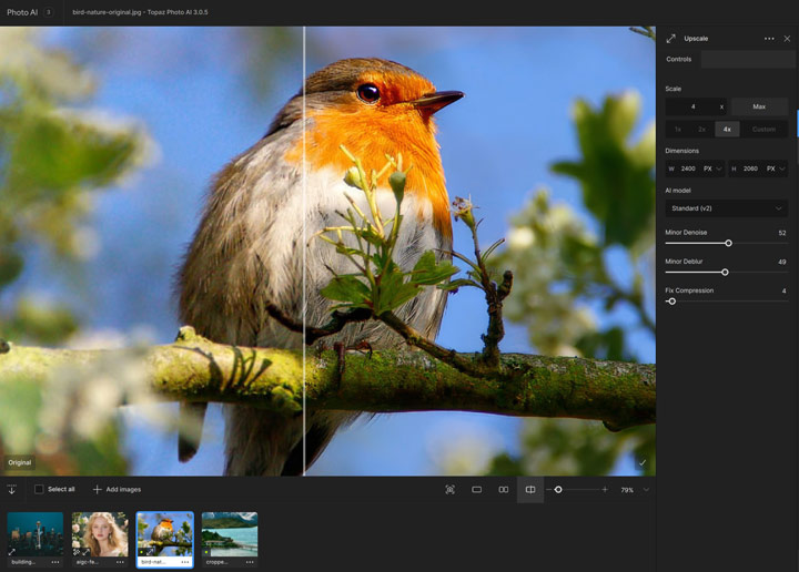 Topaz Denoise and Upscale Standard V2 Model