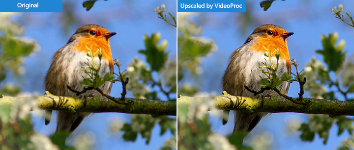 Upscale Photography with Rich Details via VideoProc