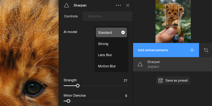 Topaz Sharpen AI Adjustable Parameters