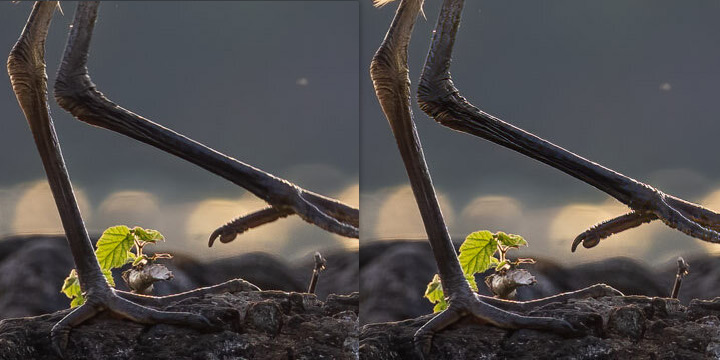 Topaz Sharpen AI Example