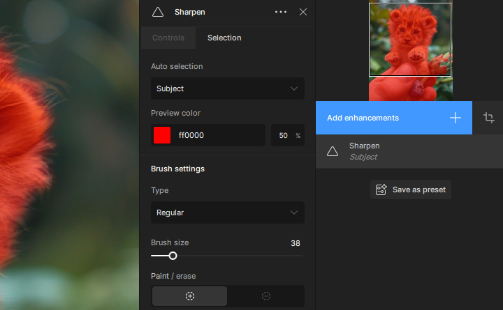 Topaz Sharpen AI Selection tool