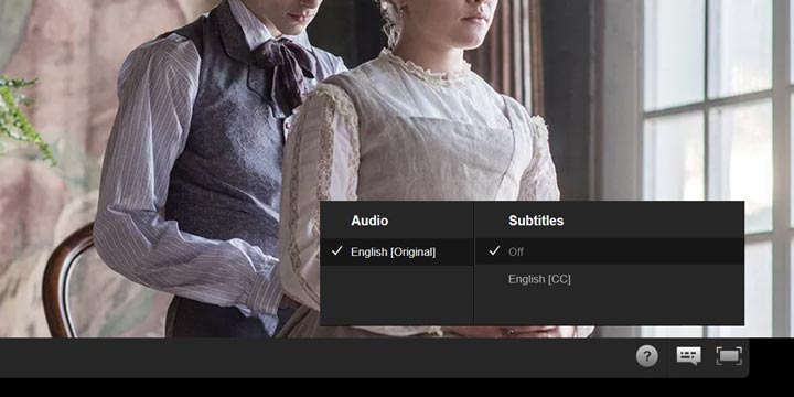 turn off subtitles on netflix