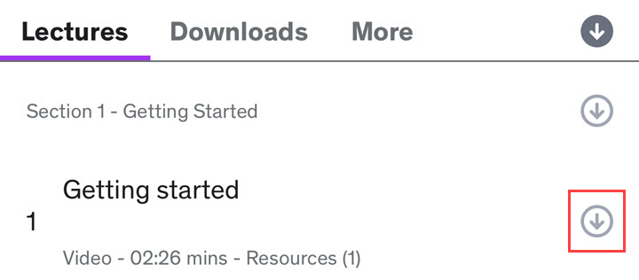 Udemy-Kurse mobil herunterladen