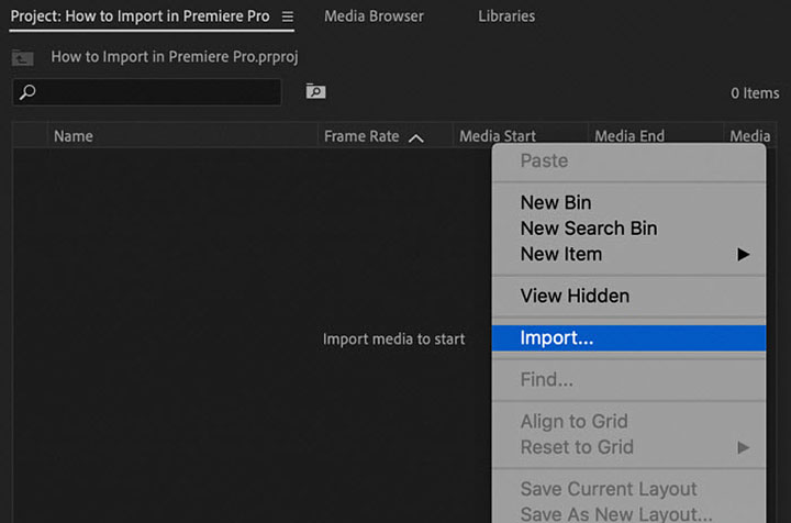 Use the Media Browser to Import Media to Premiere