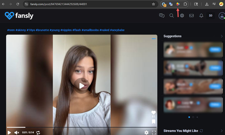 Detecting Fansly Video via VideoDownloadHelper 