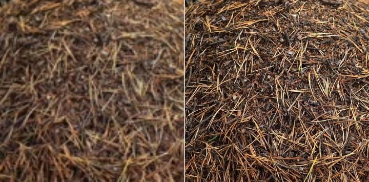 VideoGigaGAN Exceptional Detail Enhancement